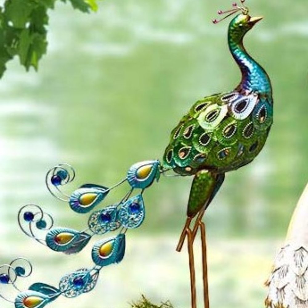 NWT Colorful Metallic Peacock